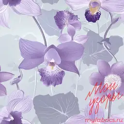 Орхидея и лотос