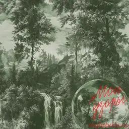 Родник в лесу