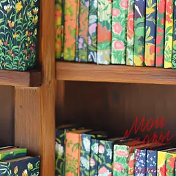 Книжная полка