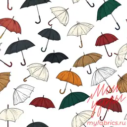 Зонтик дождя